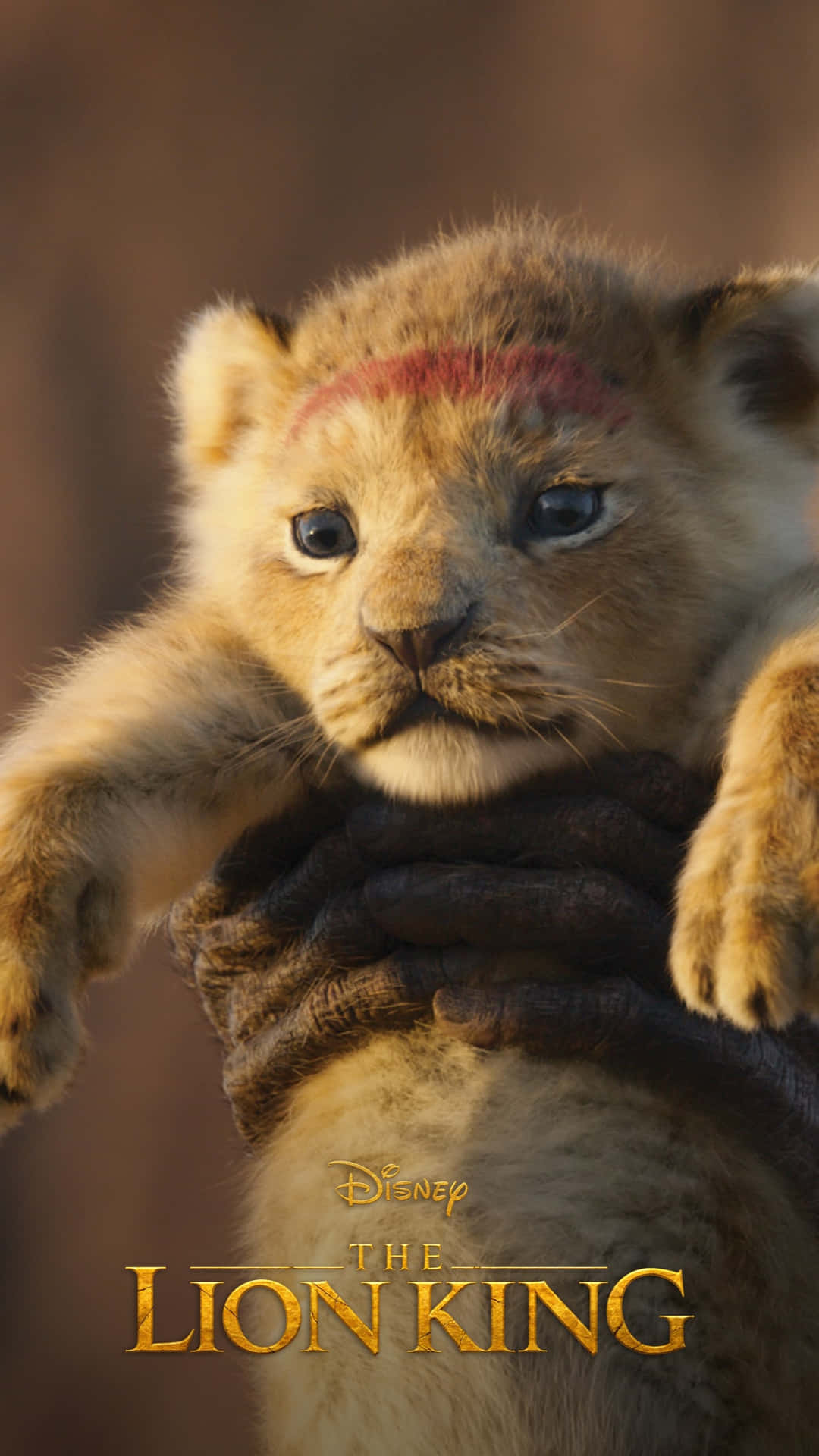 Cute Lion King 2019 Film Poster Background