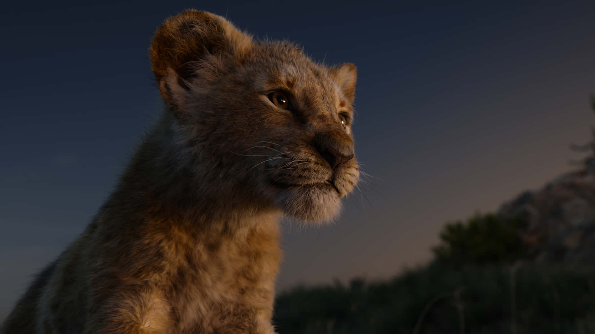 Cute Lion King 2019 Simba Cub Background
