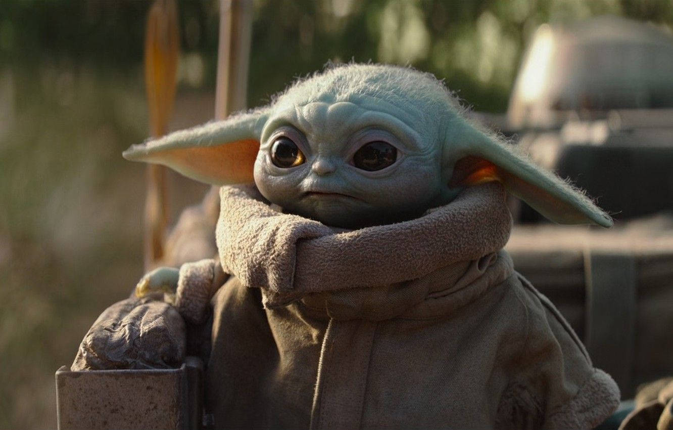 Cute Look Of Baby Yoda Background