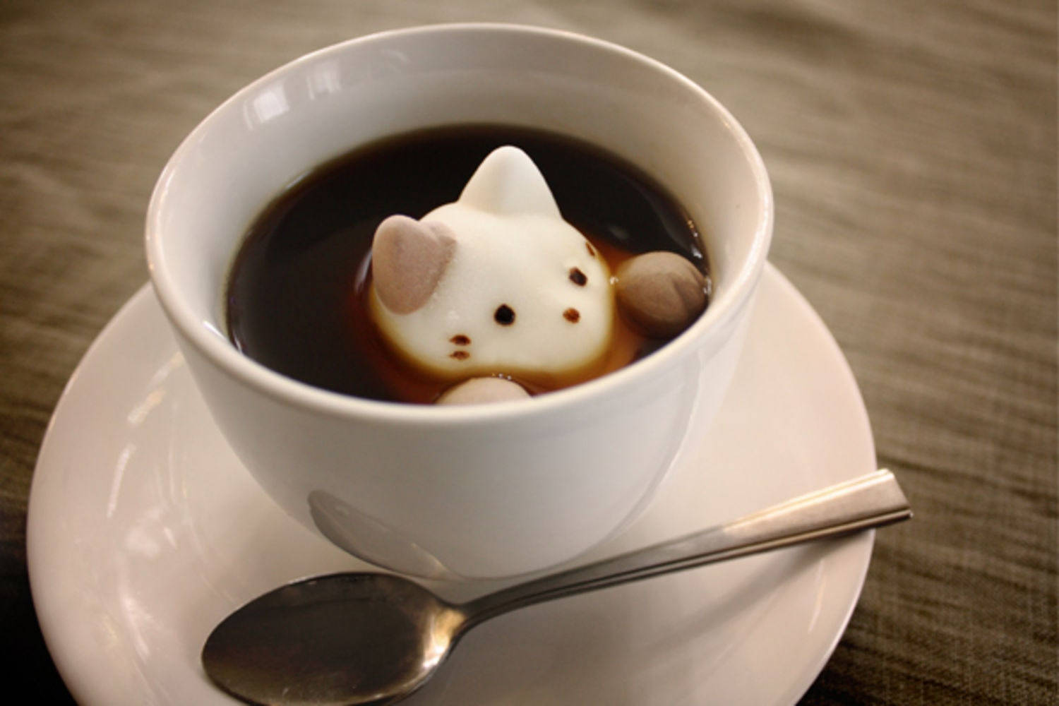 Cute Marshmallow Cat Coffee Background