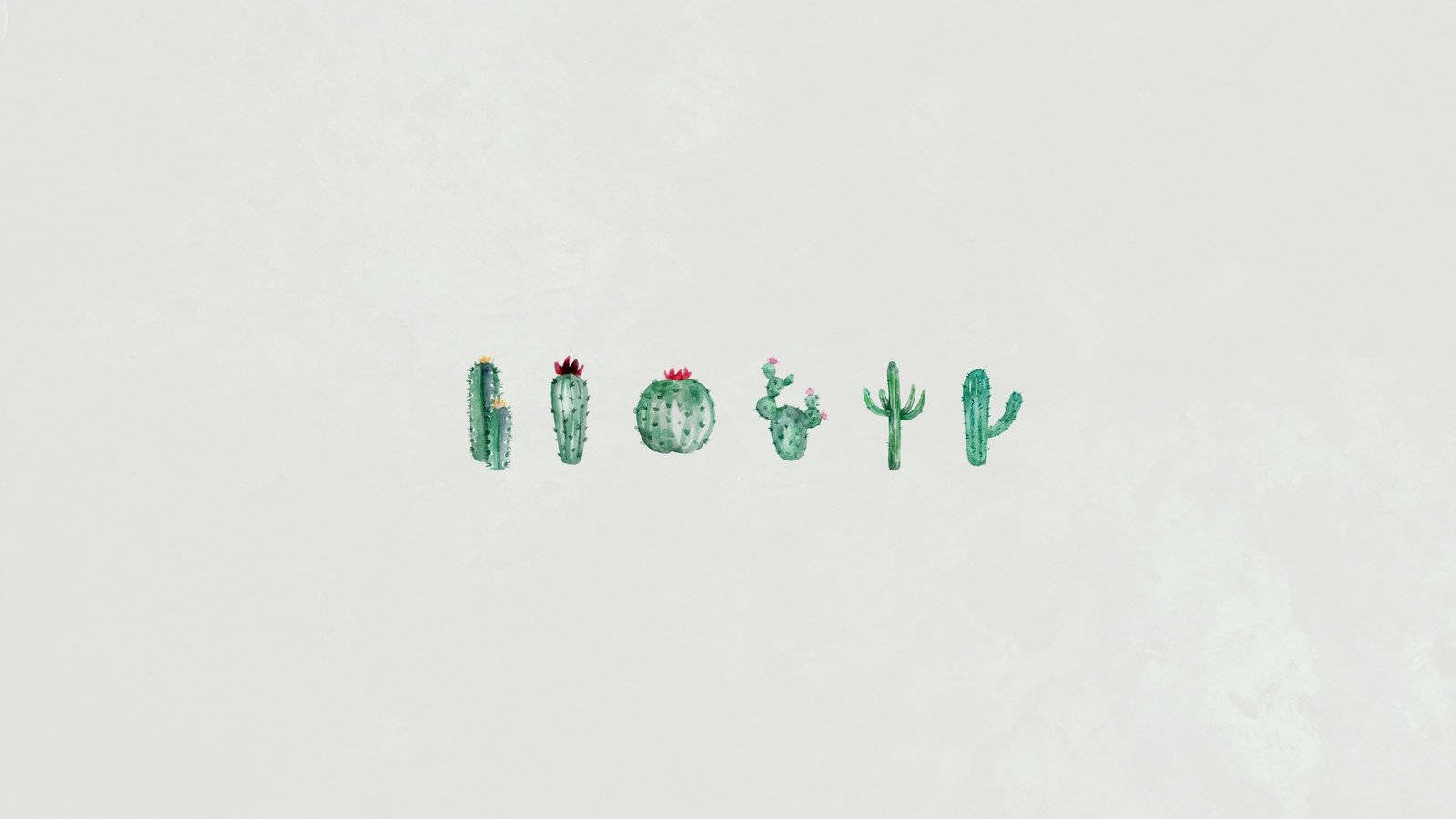 Cute Minimalist Cactus Background