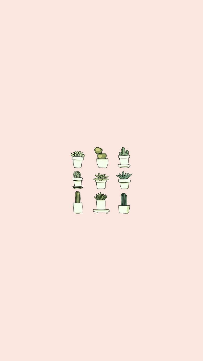 Cute Minimalist Succulents Background