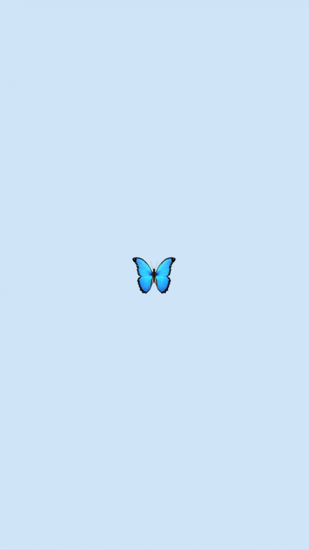 Cute Mobile Blue Butterfly Background