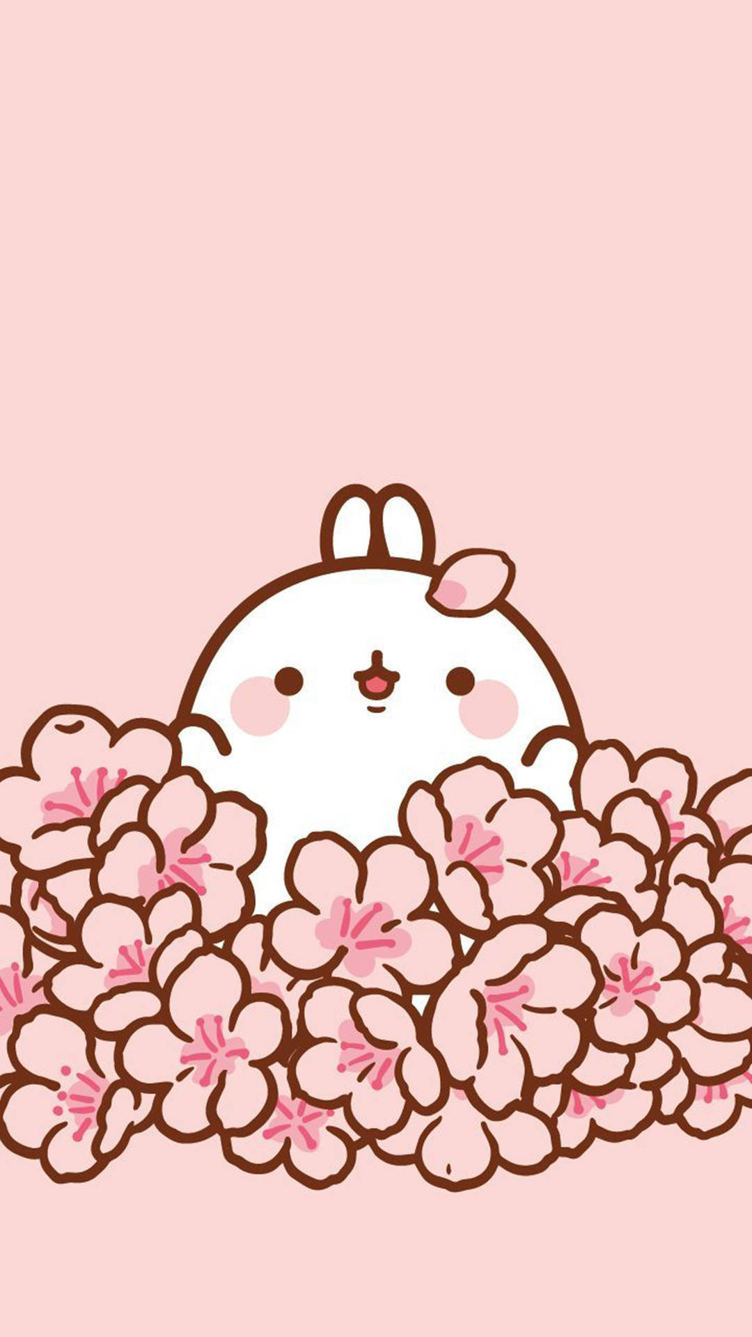 Cute Molang Bunny Pink Kawaii Background