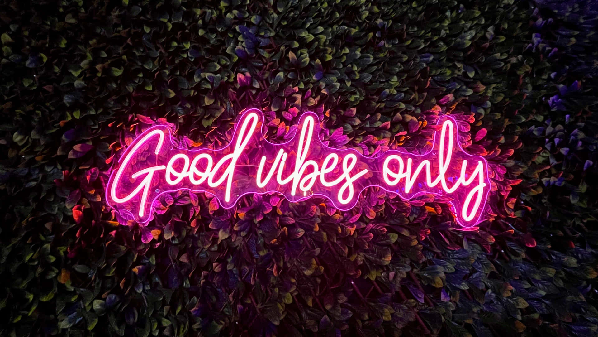 Cute Neon Pink Phrase Sign Background