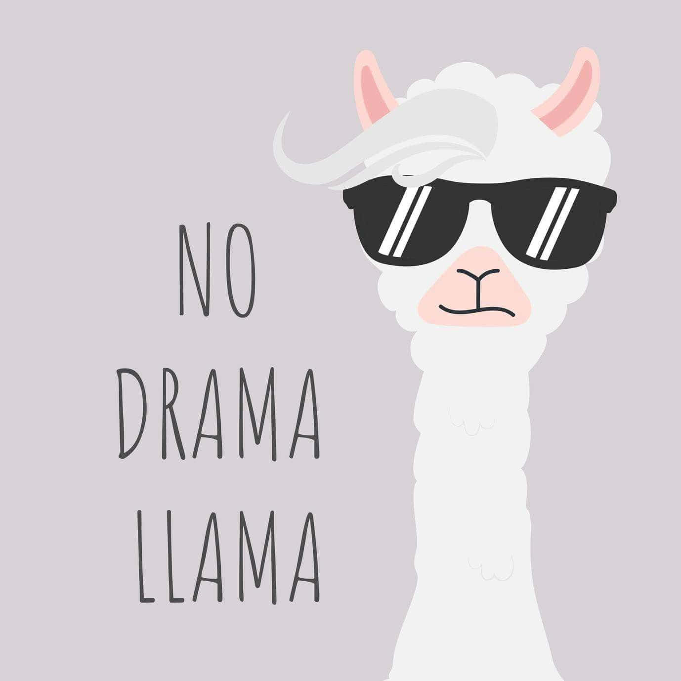 Cute No Drama Llama Background