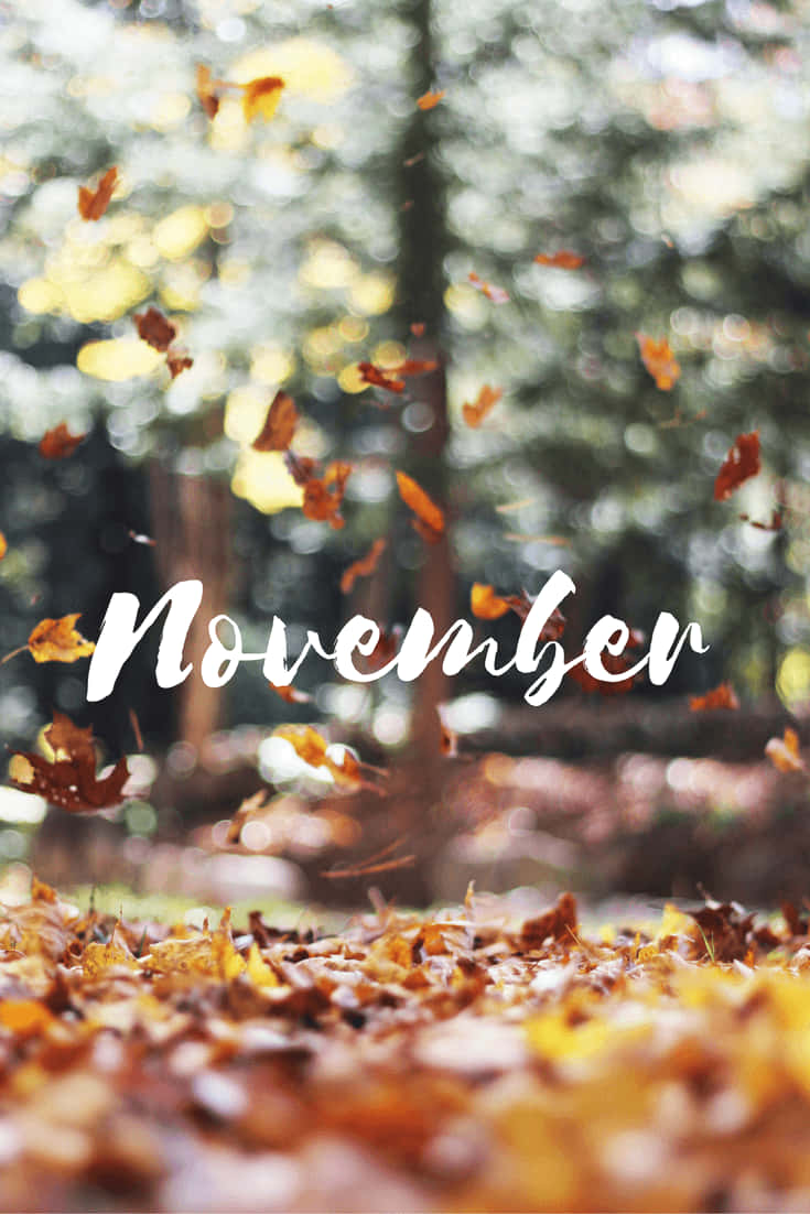 Cute November Fall Background