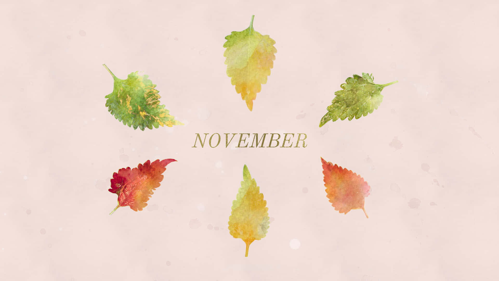 Cute November Leaves Background