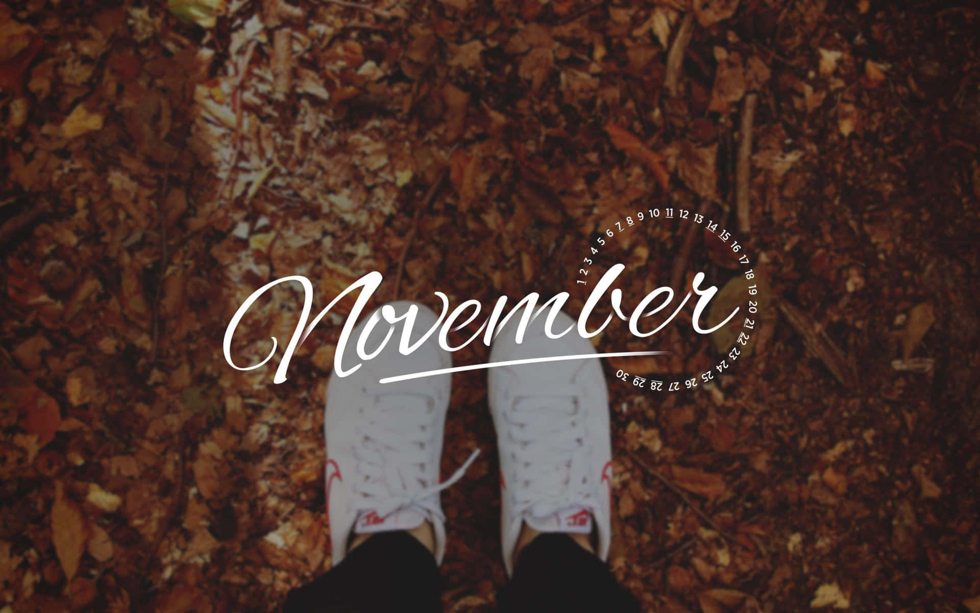 Cute November Shoes Background
