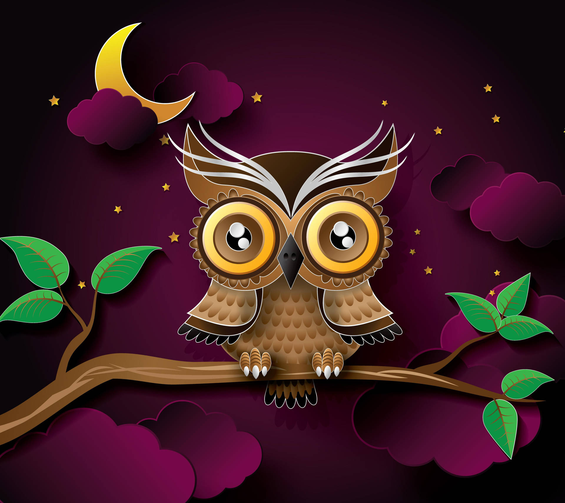Cute Owl At Night Background