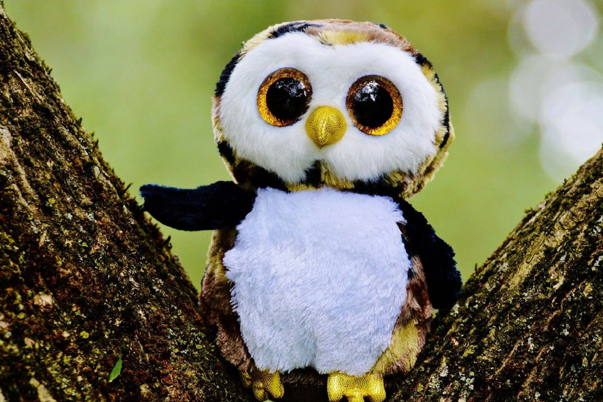 Cute Owl Stuffed Animal Background