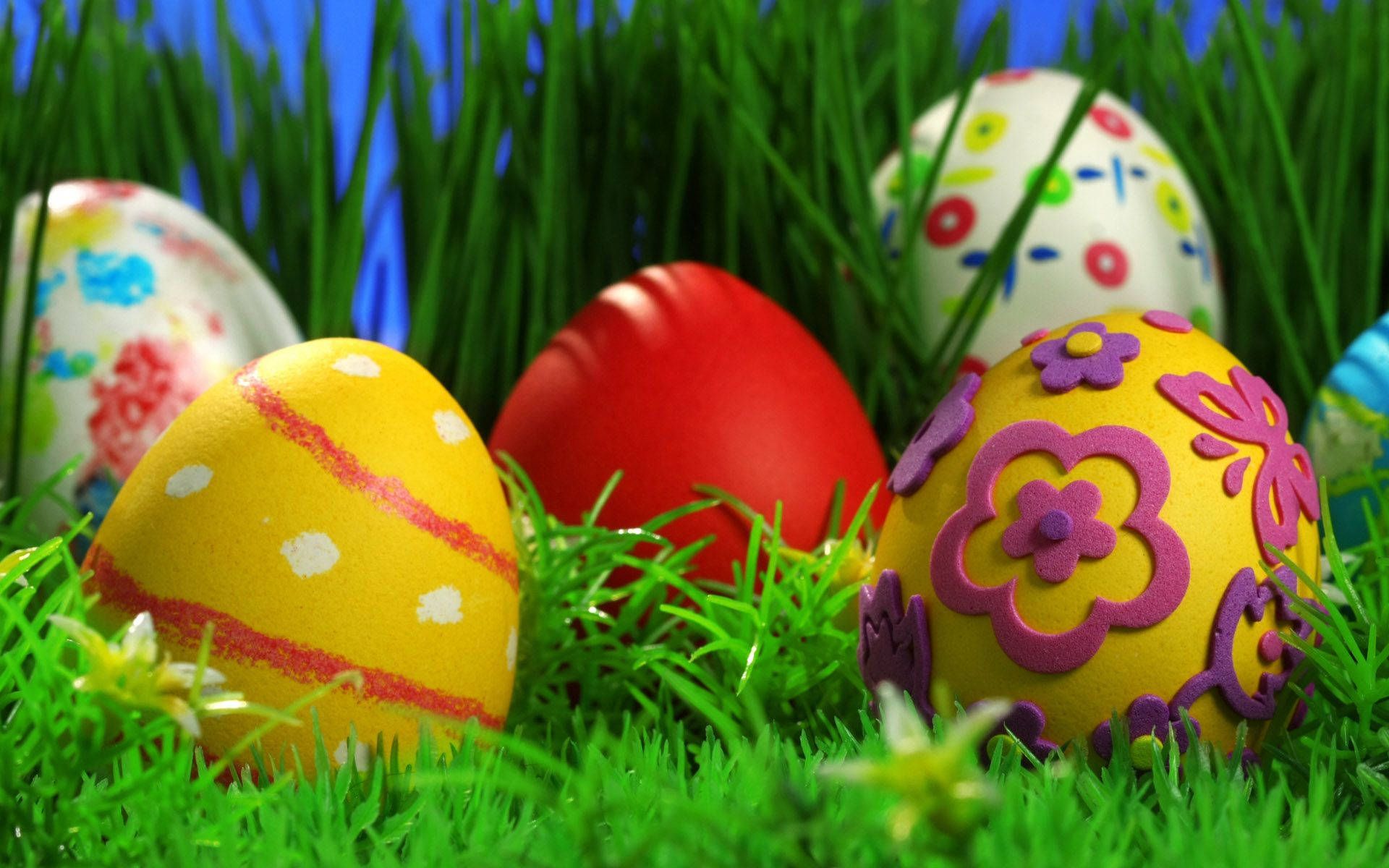 Cute Painted Easter Eggs Background