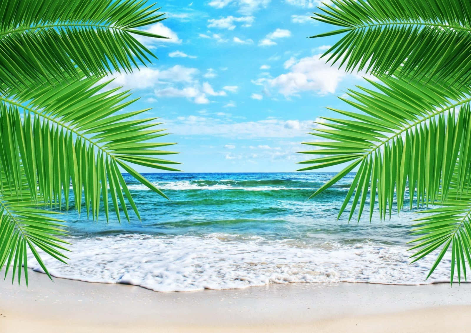 Cute Palm Beach Background