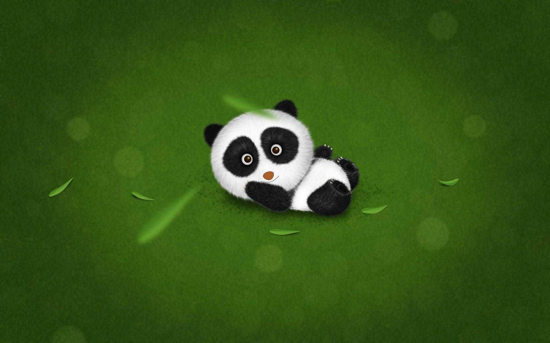 Cute Panda Baby Background