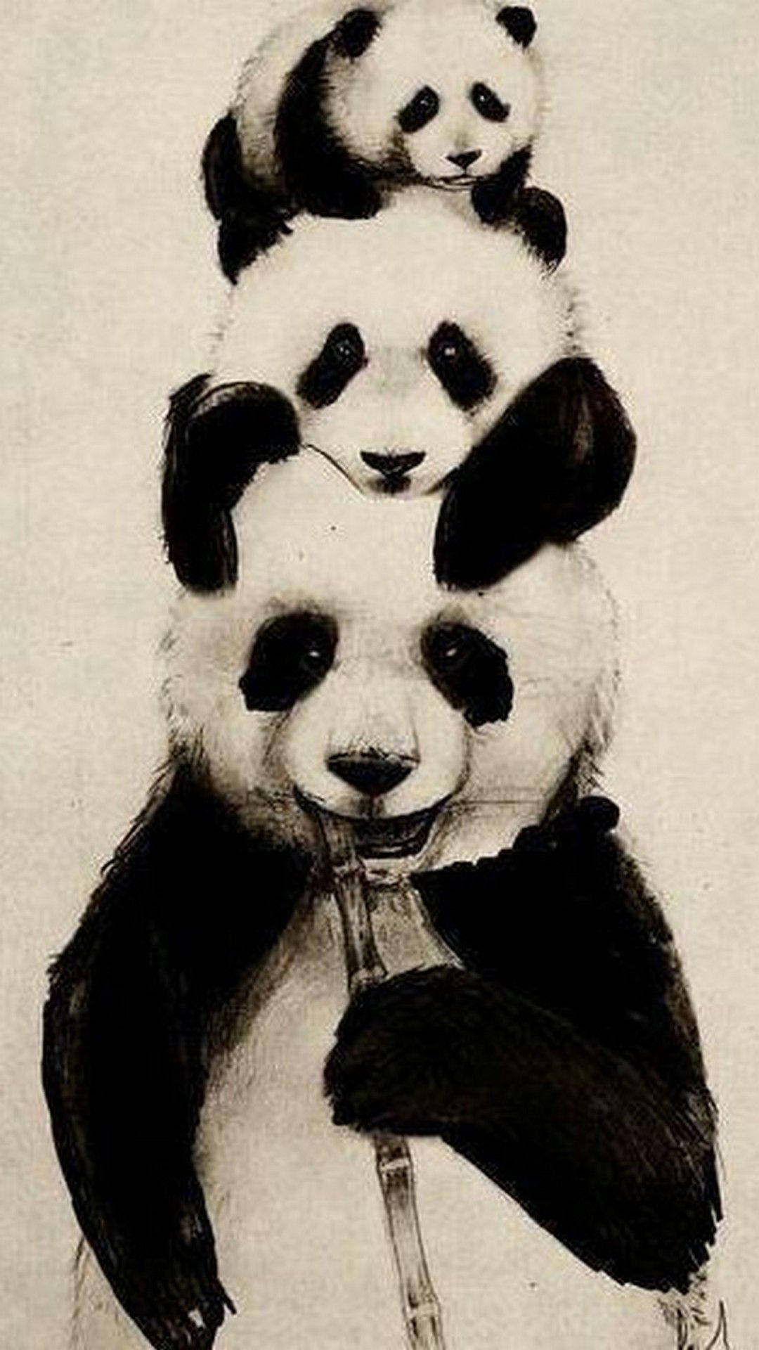 Cute Panda Family Background