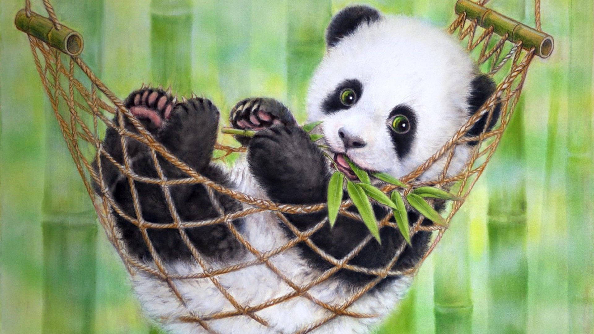Cute Panda On A Hammock Background