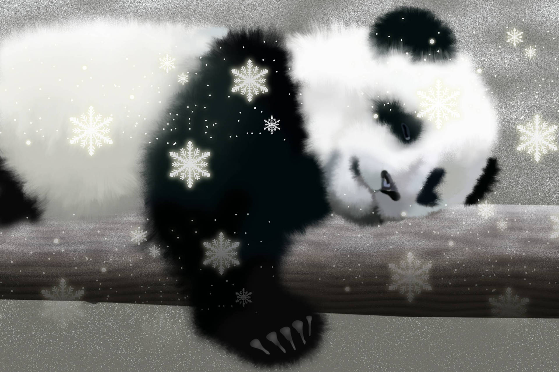 Cute Panda With Snow Flakes Background