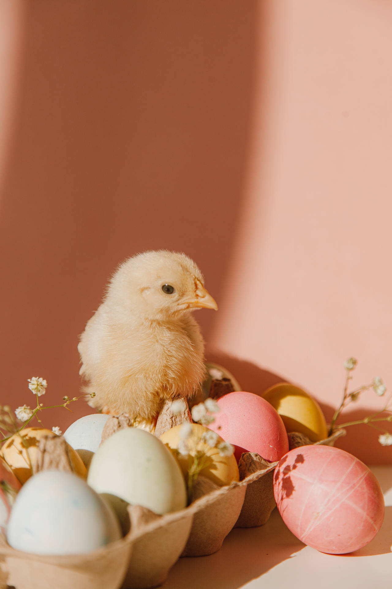 Cute Pastel Aesthetic Colored Eggs And Chick