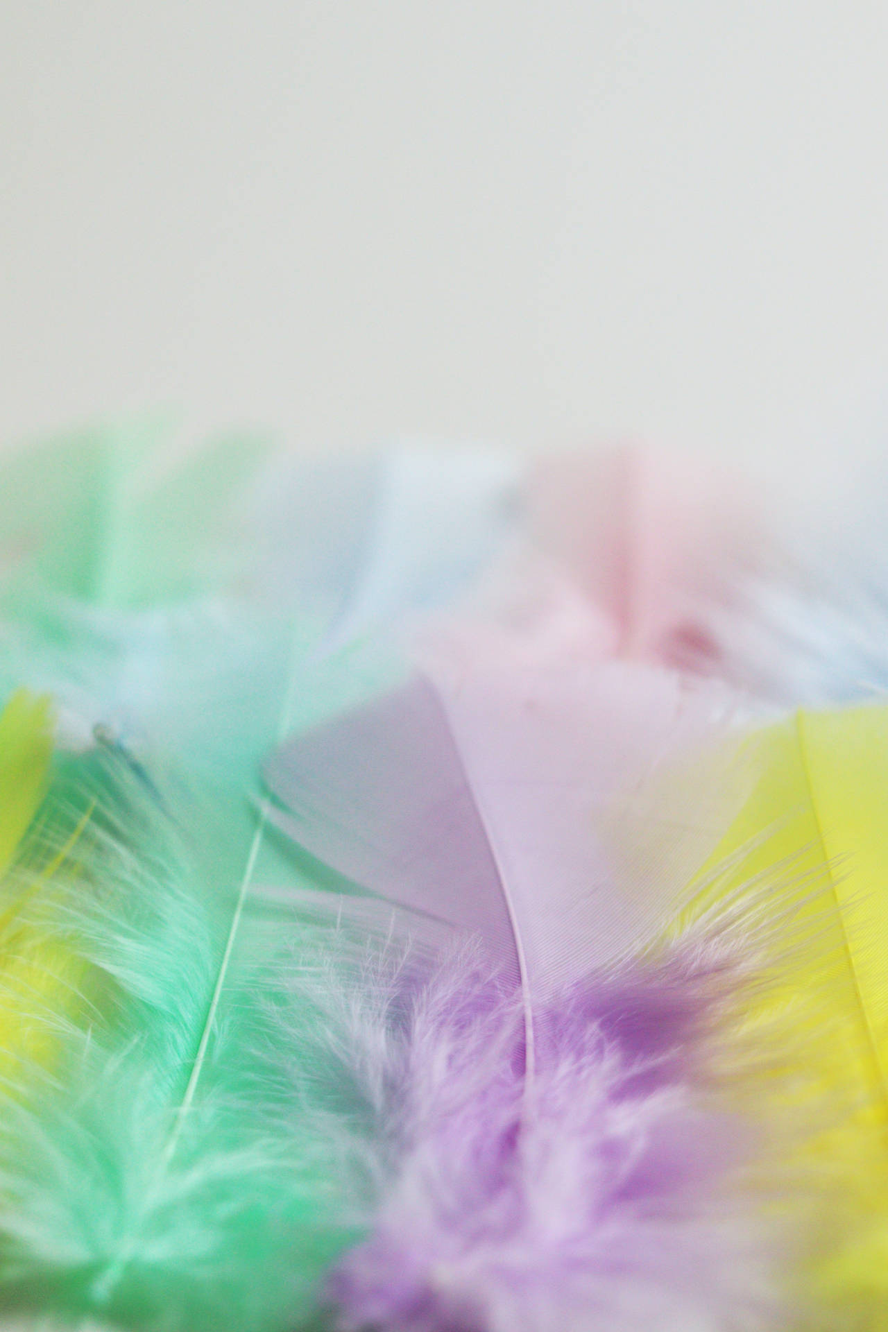 Cute Pastel Aesthetic Multicolored Feathers Background