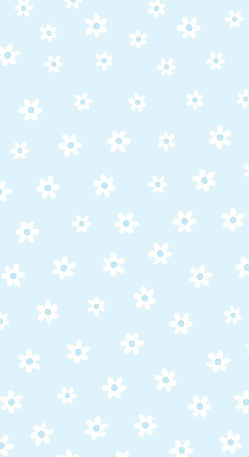 Cute Pastel Blue Aesthetic White Flowers Background