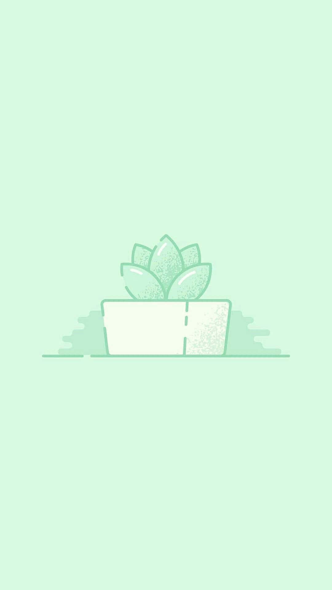 Cute Pastel Green Succulent Plant Background