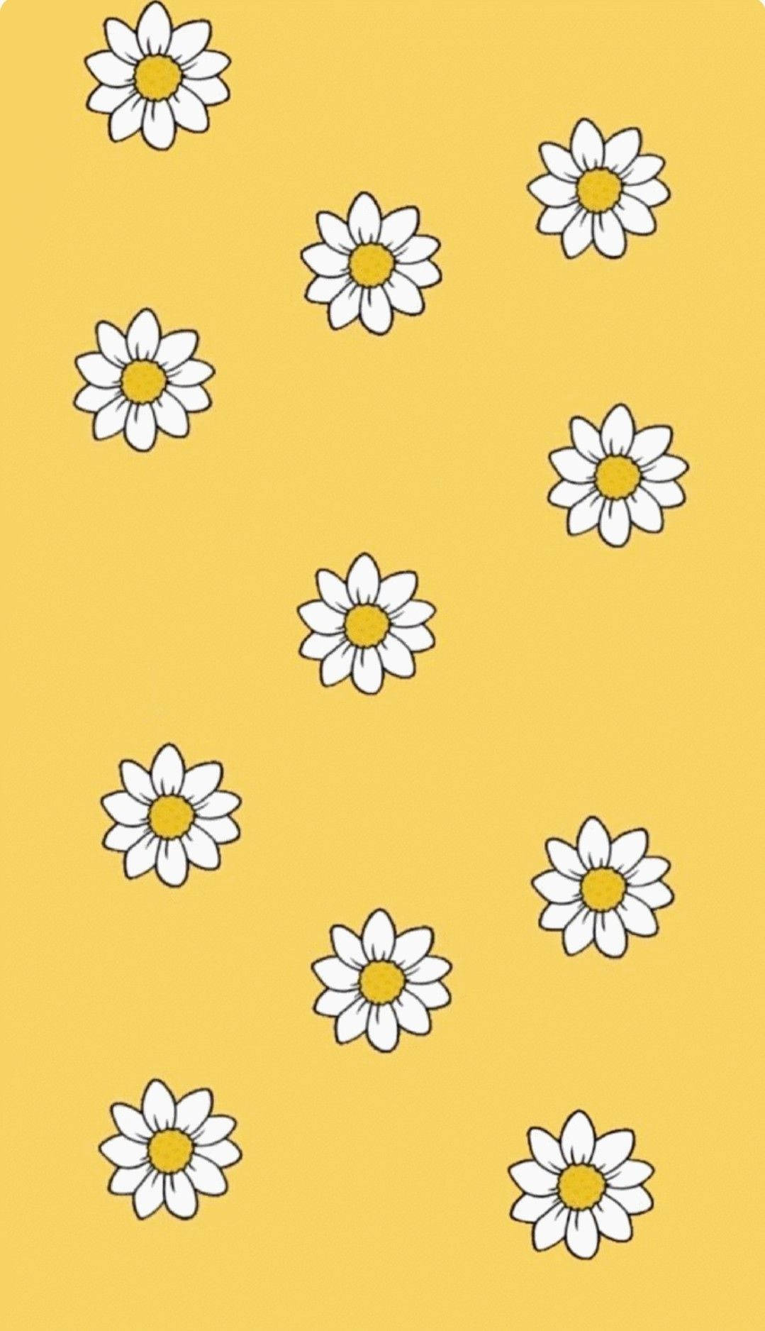 Cute Pastel Yellow Aesthetic Daisy Background
