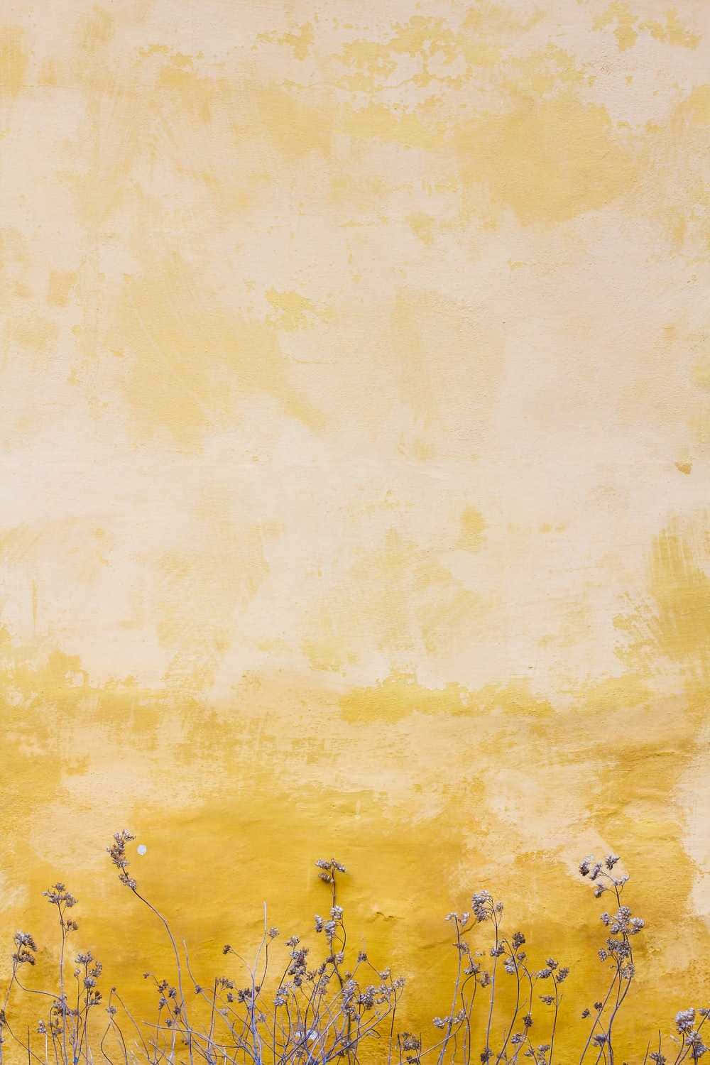 Cute Pastel Yellow Faded Wall Background