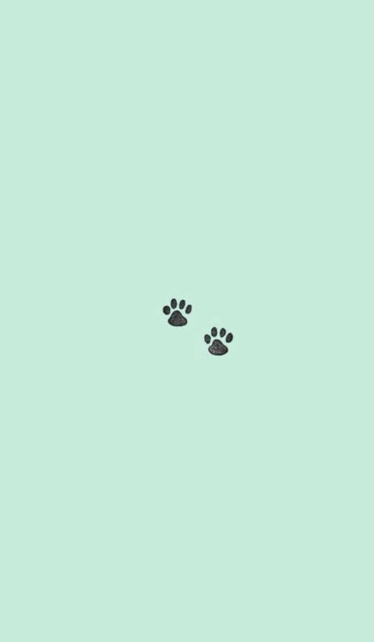 Cute Paw Prints On Mint Green Iphone Background