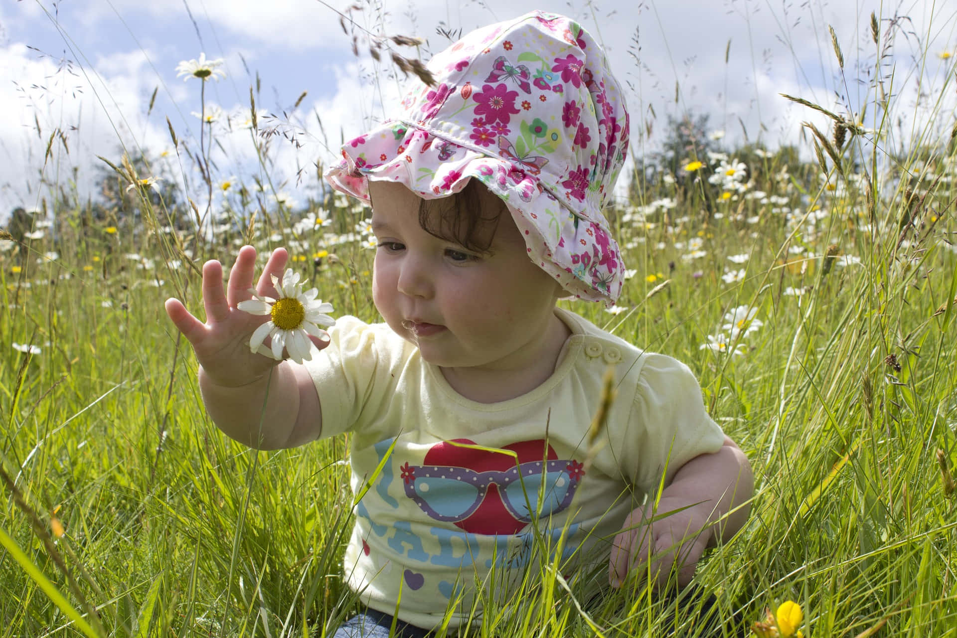Cute Photo Of A Baby Girl In A Grass Field Touching A Tangible Flower Background