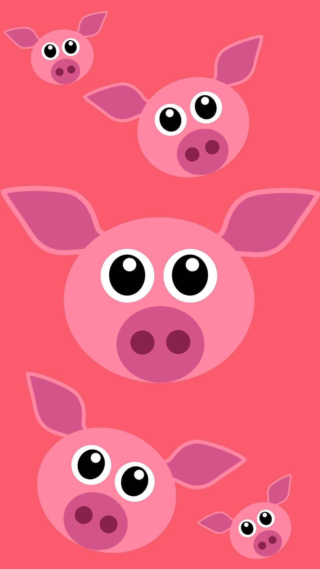 Cute Pig Faces