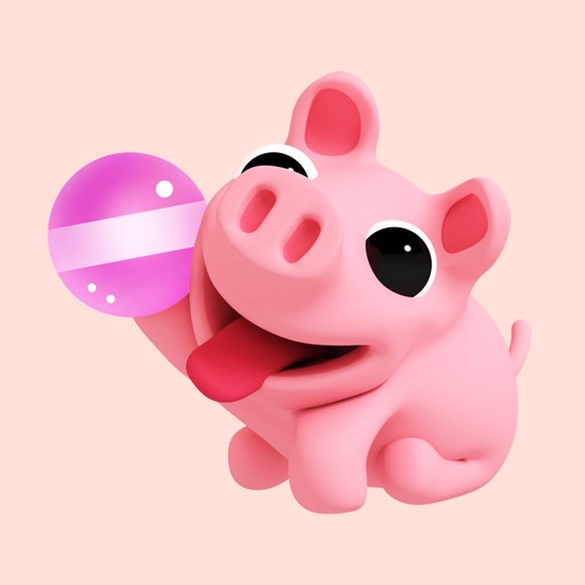 Cute Pig The Rosa