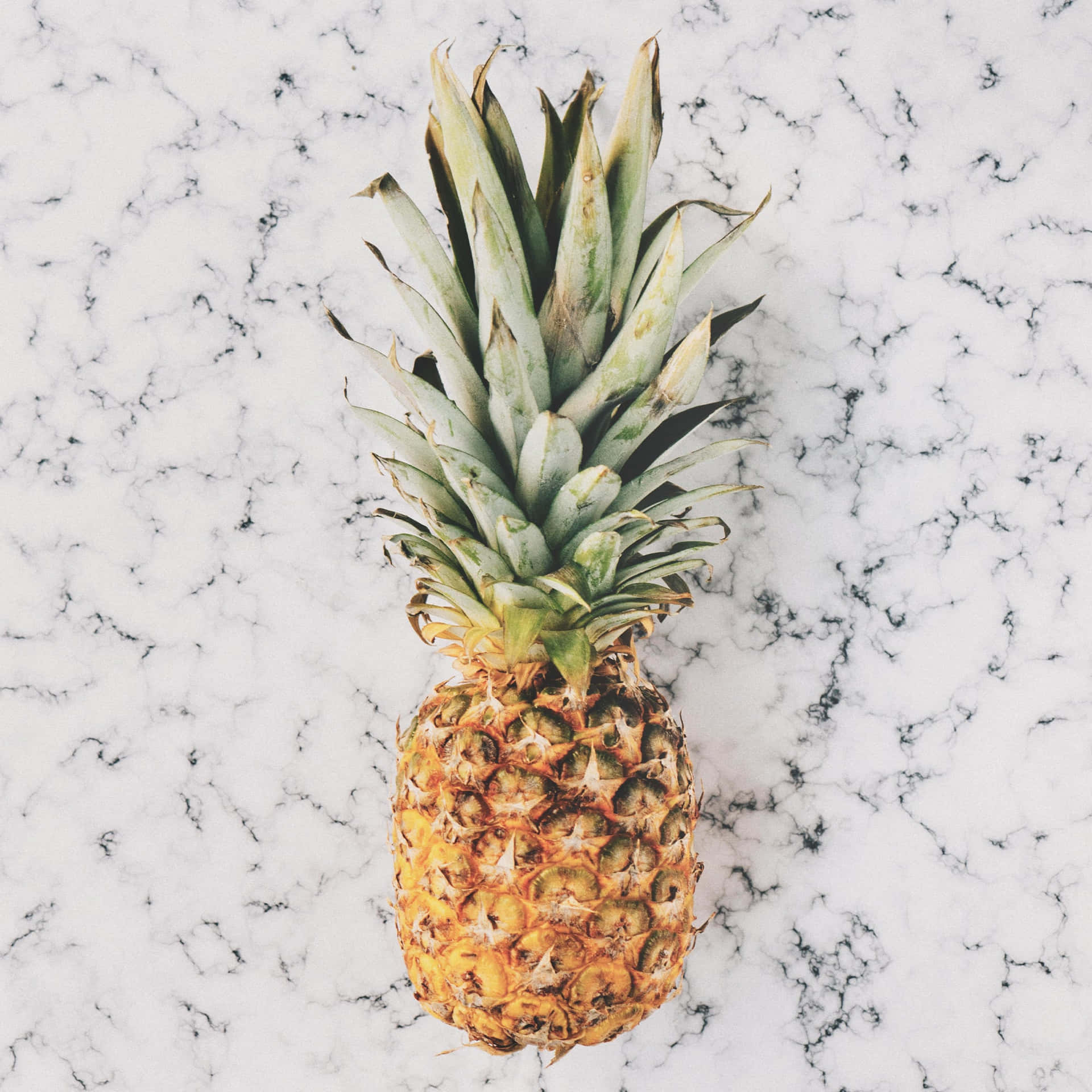 Cute Pineapple Marble Countertop Background