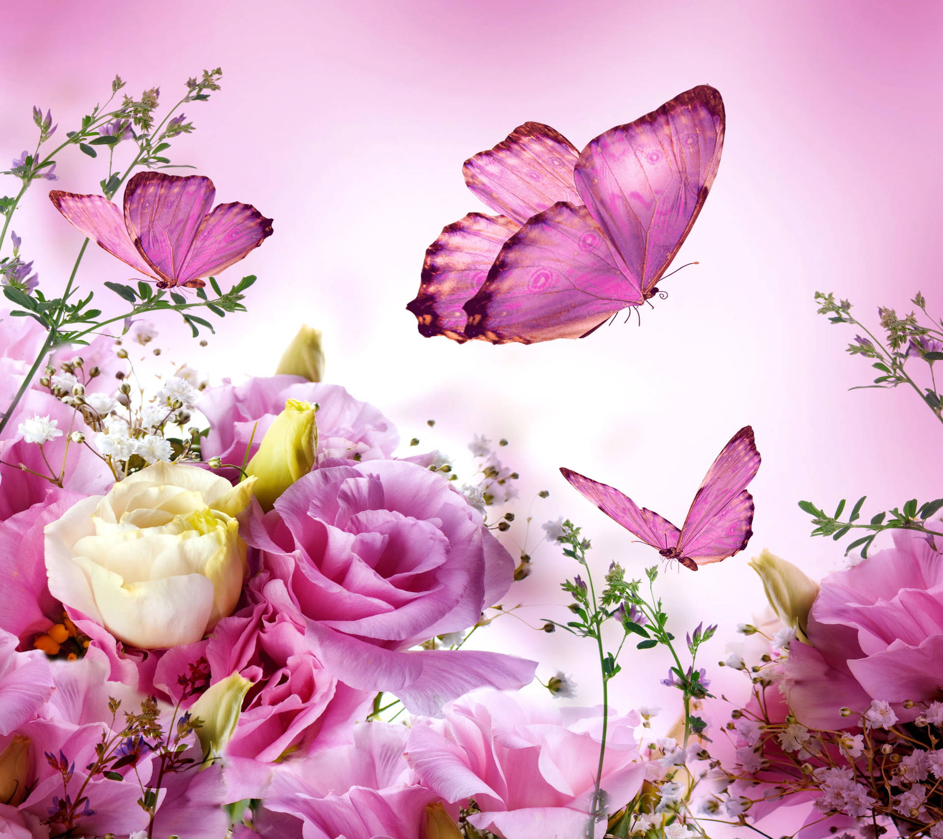 Cute Pink Butterfly In Pink Garden Background