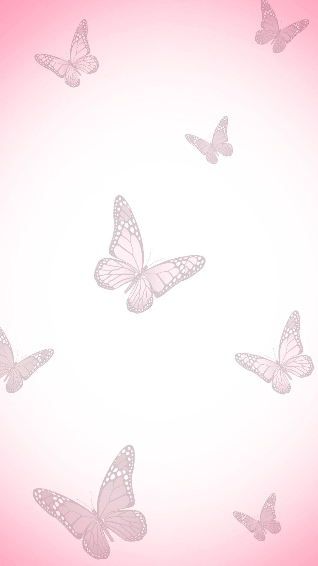 Cute Pink Butterfly On Gradient Pink Background Background