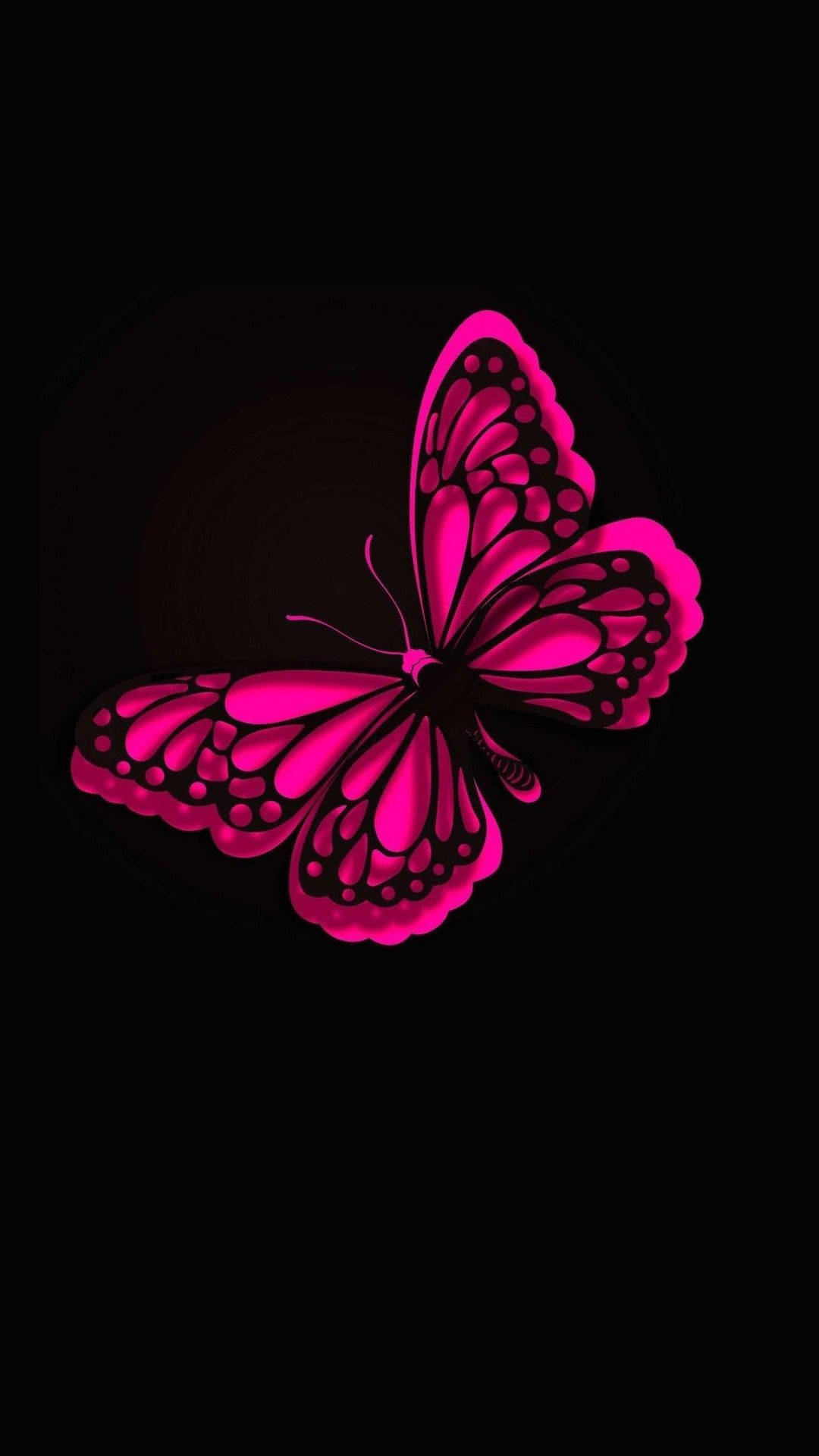 Cute Pink Butterfly On Pitch Black Background Background