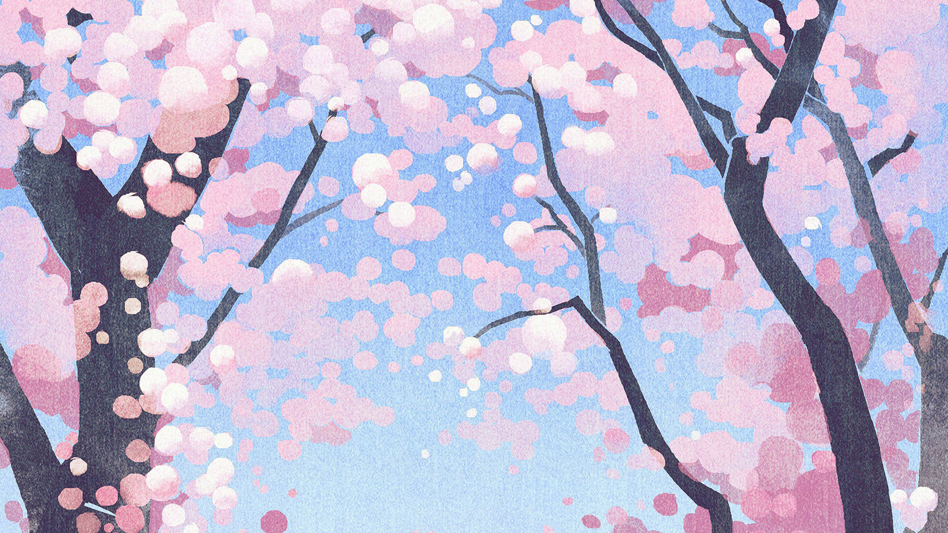 Cute Pink Cherry Blossoms