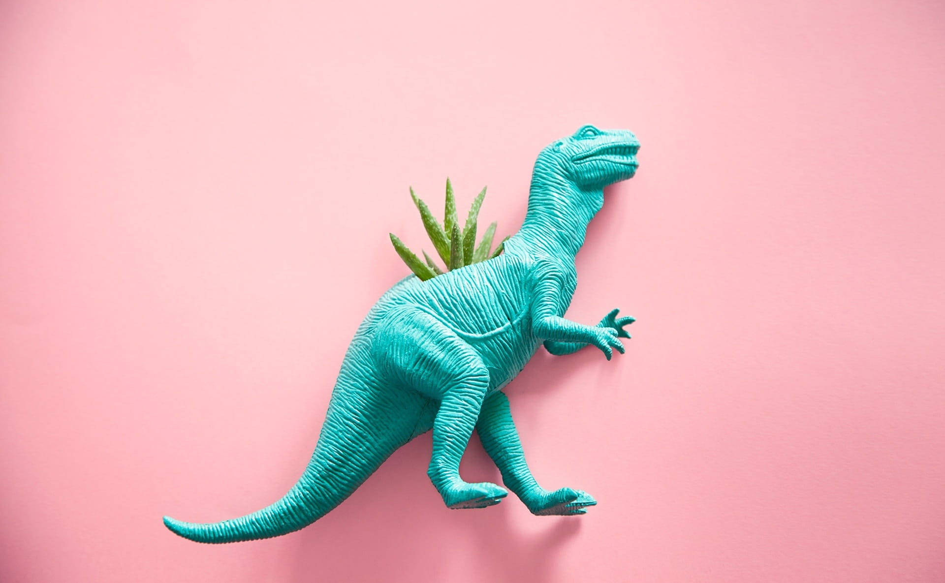 Cute Pink Dinosaur T-rex Plant
