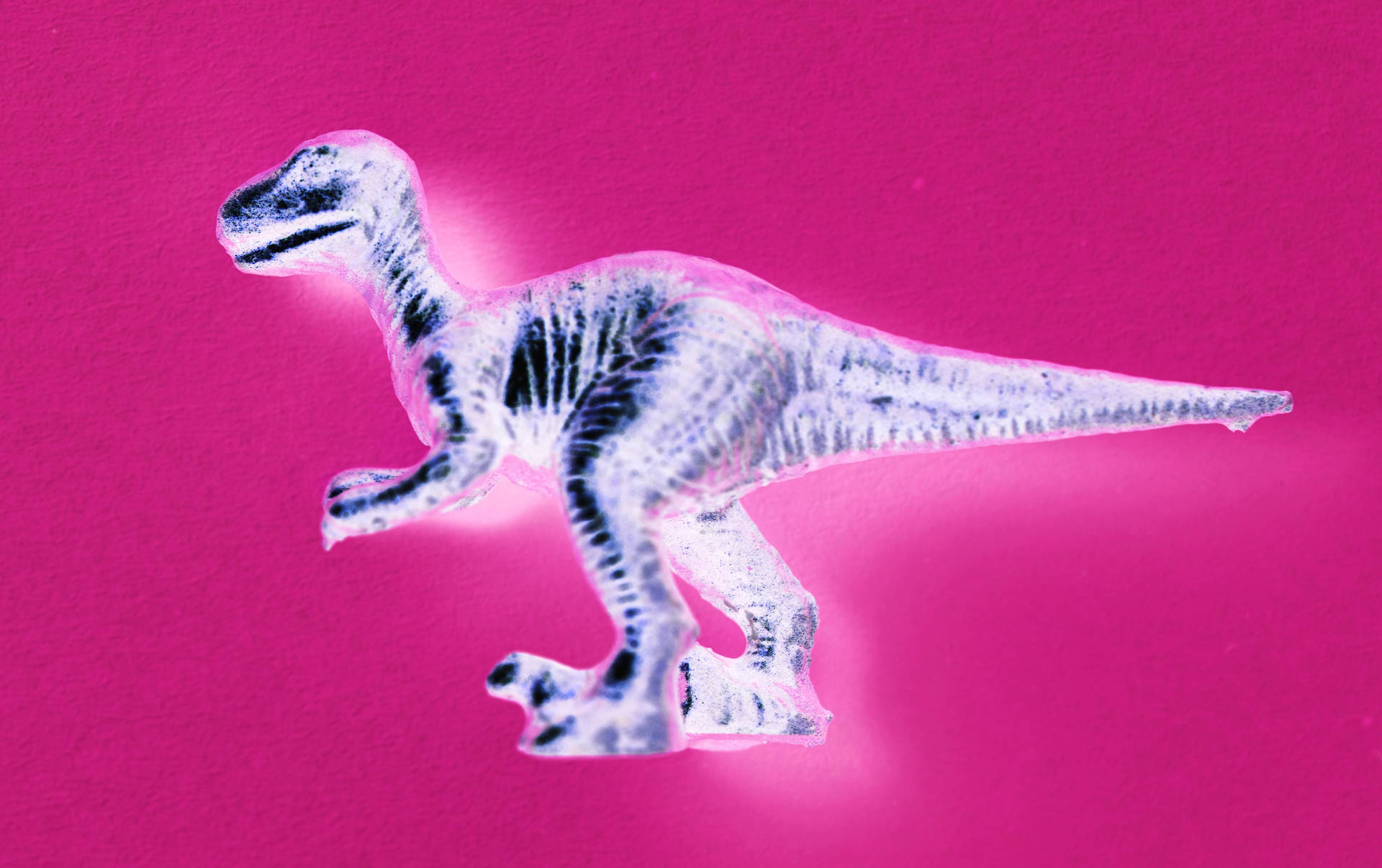 Cute Pink Dinosaur X-ray
