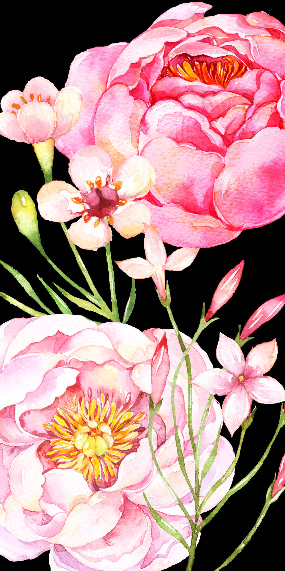 Cute Pink Flower Blooms Painting Background