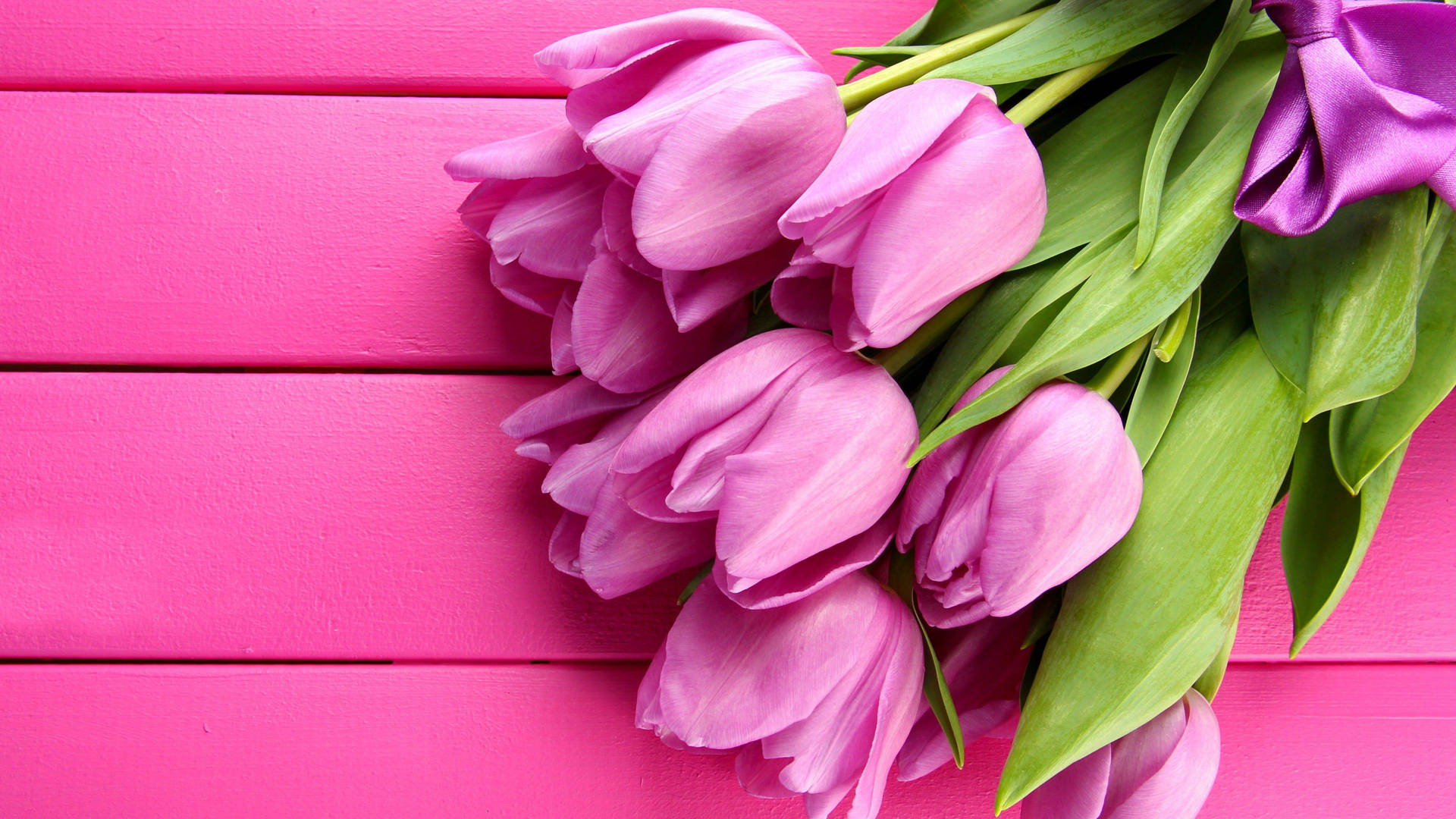 Cute Pink Flower Of Tulips On Plank Background
