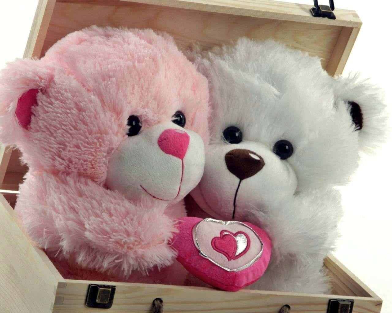 Cute Pink Teddy Bear Box Background