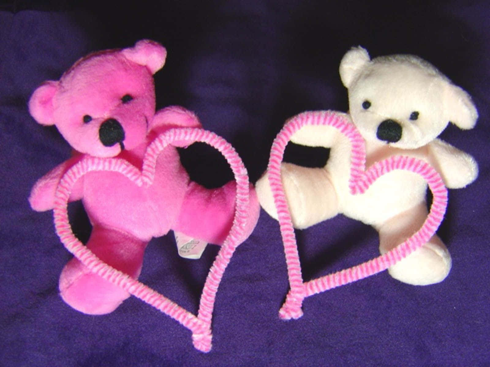 Cute Pink Teddy Bear Couple Love