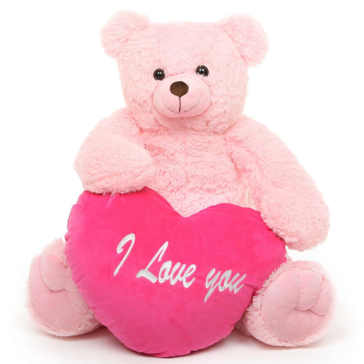 Cute Pink Teddy Bear I Love You Background