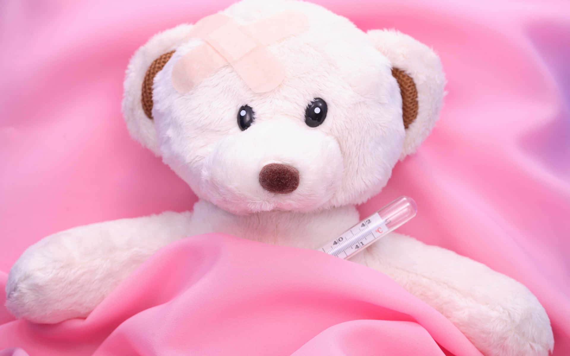 Cute Pink Teddy Bear Sad Valentine's Day