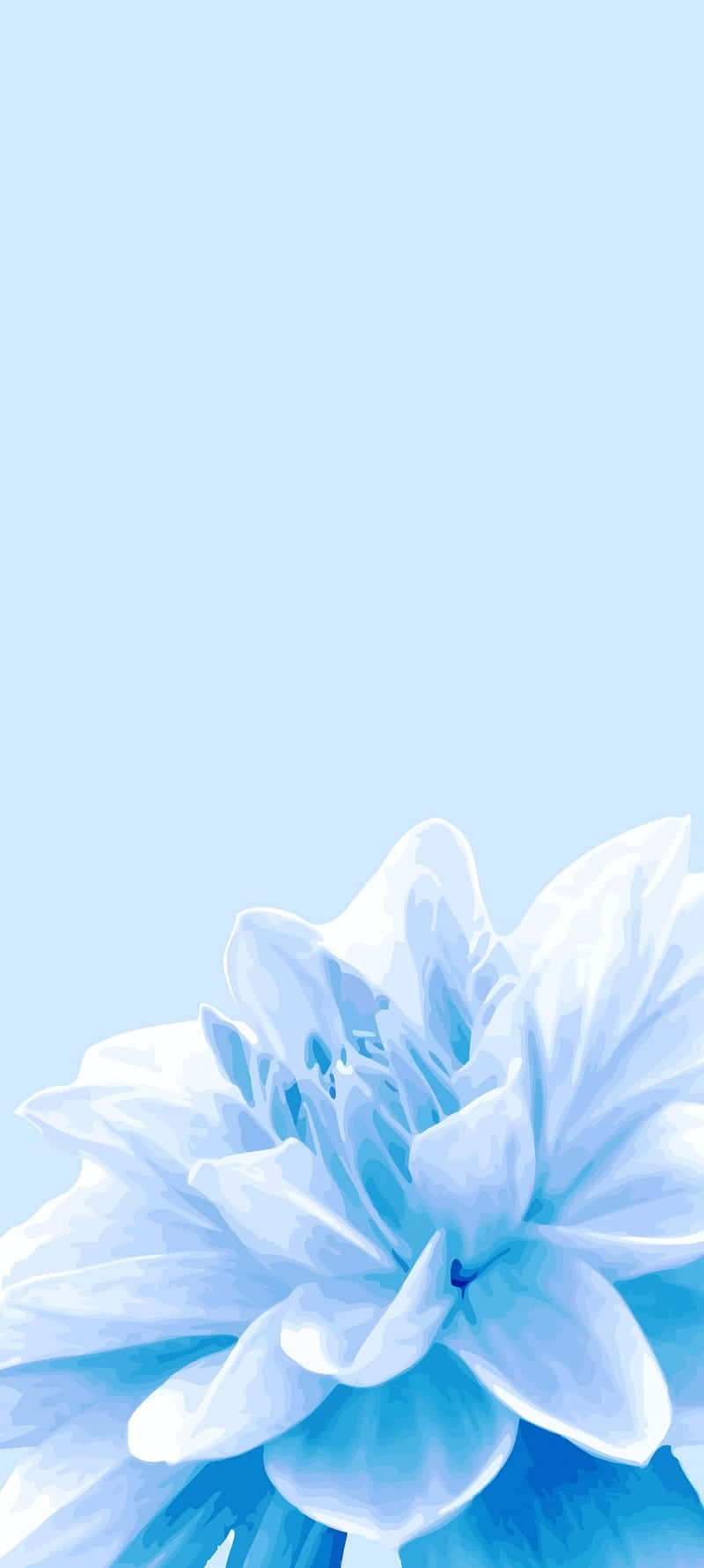 Cute Plant With Blue Flower Background