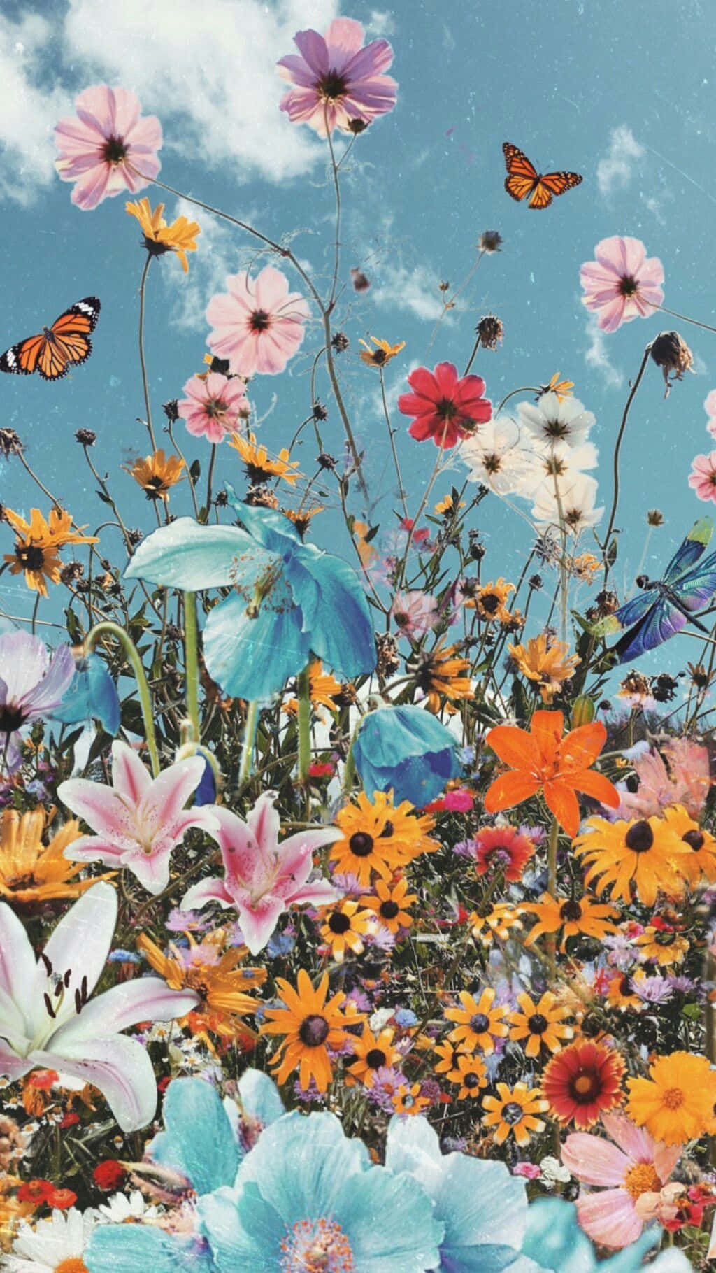 Cute Plant With Lovely Flowers Background
