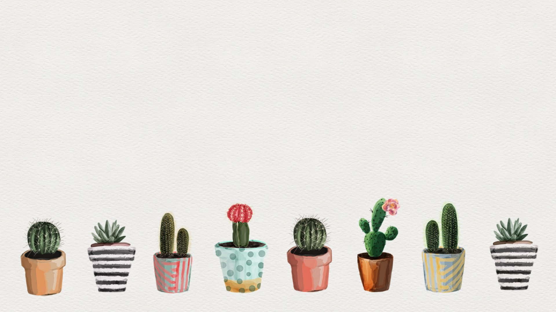 Cute Potted Cacti Minimalist Plant Desktop Background