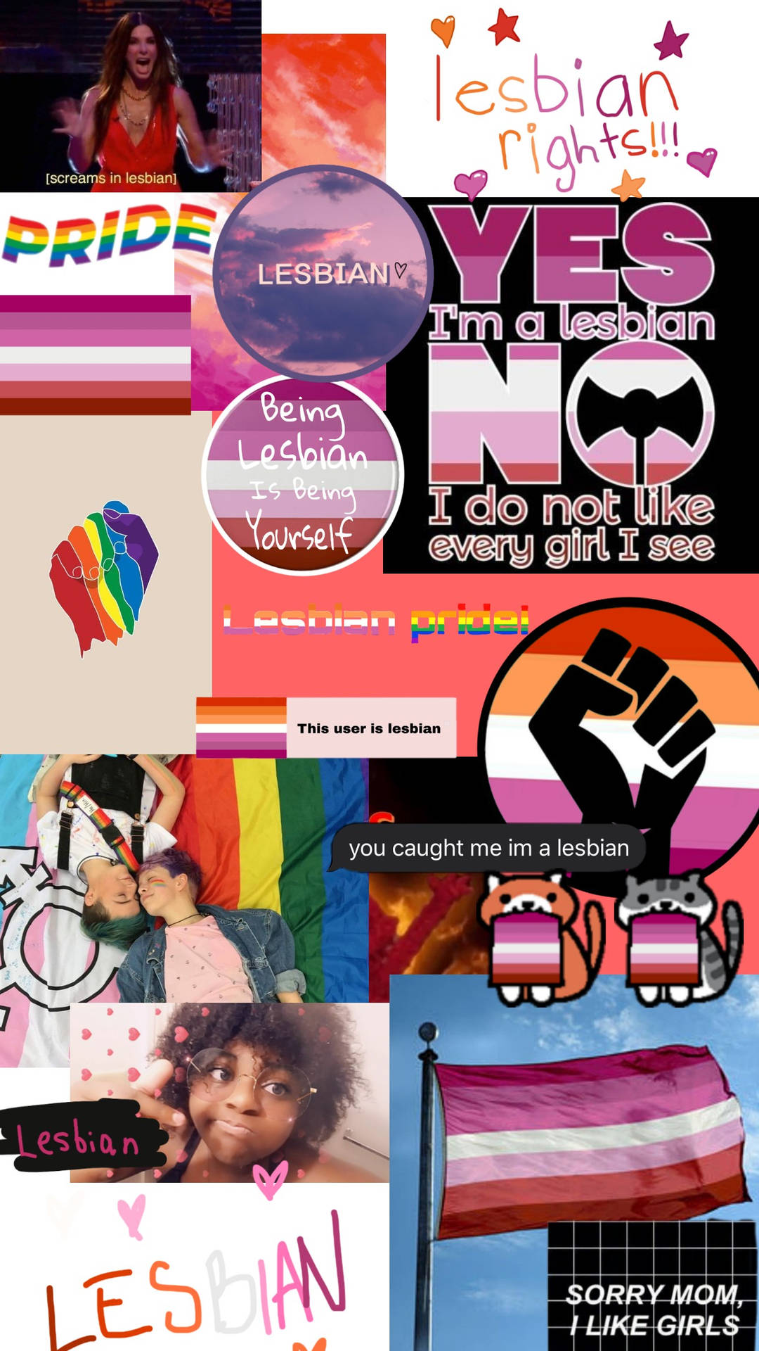 Cute Pride Lesbian Photo Collage Art Background