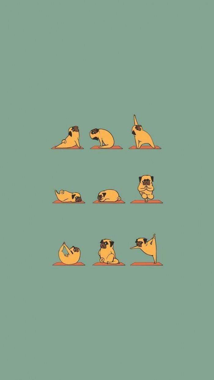 Cute Pug Yoga Funny Phone Background