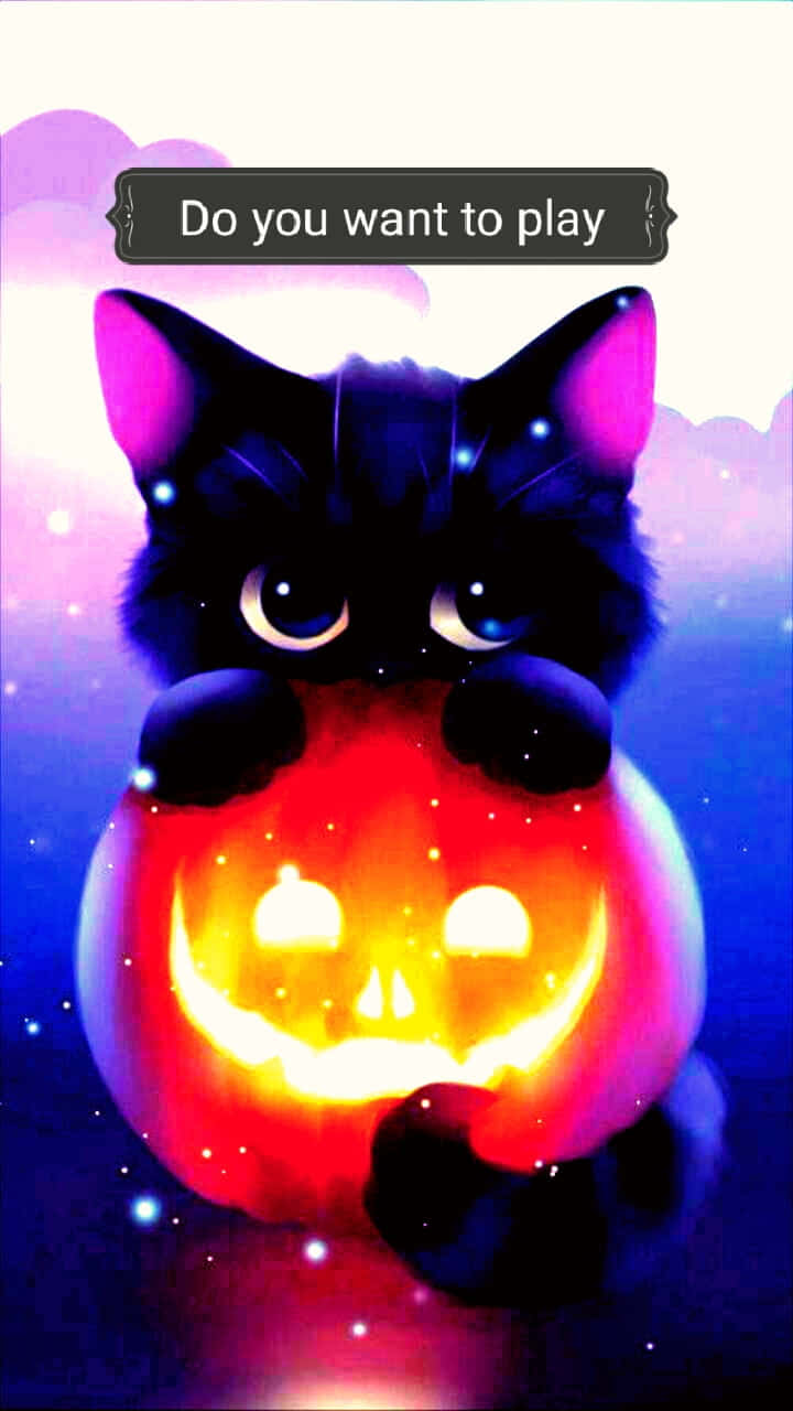 Cute Pumpkin Iphone Black Cat Background